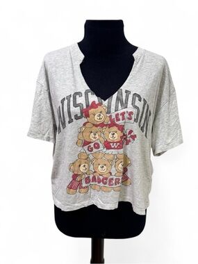 Hollister Wisconsin Badgers Graphic Crop Tee - Gray